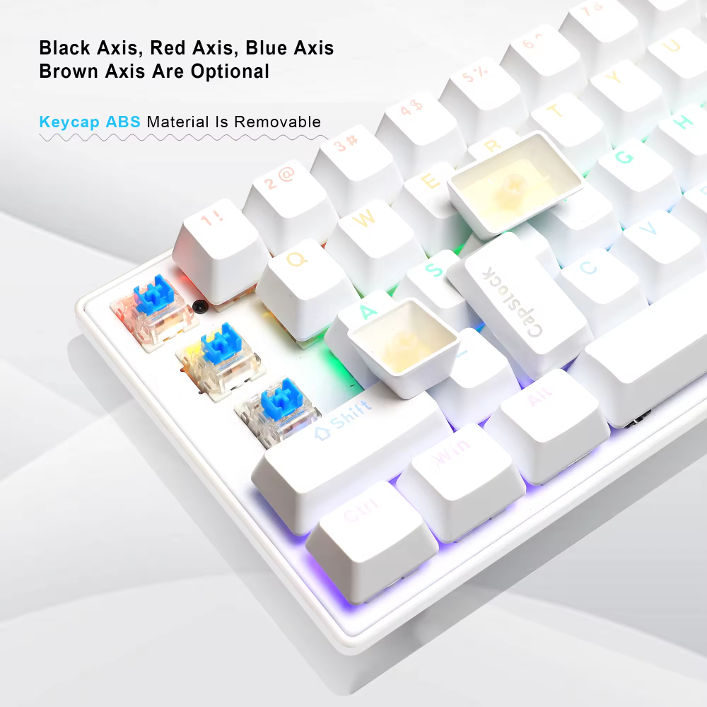 Teclado Semi Mecanico Tecla Cambiable Rg